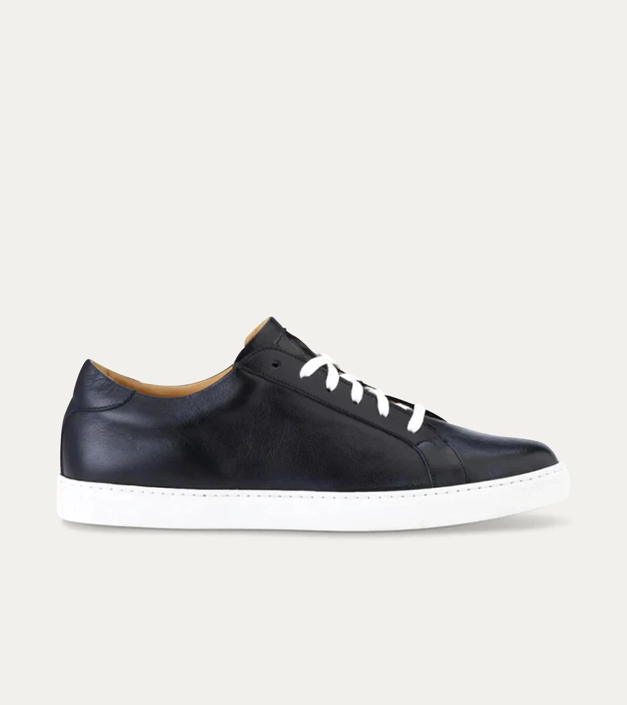 Dress Sneakers - New Arrivals